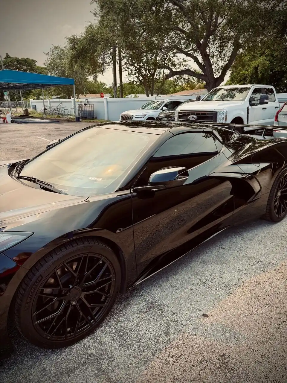 Black Corvette roof and rear angle
