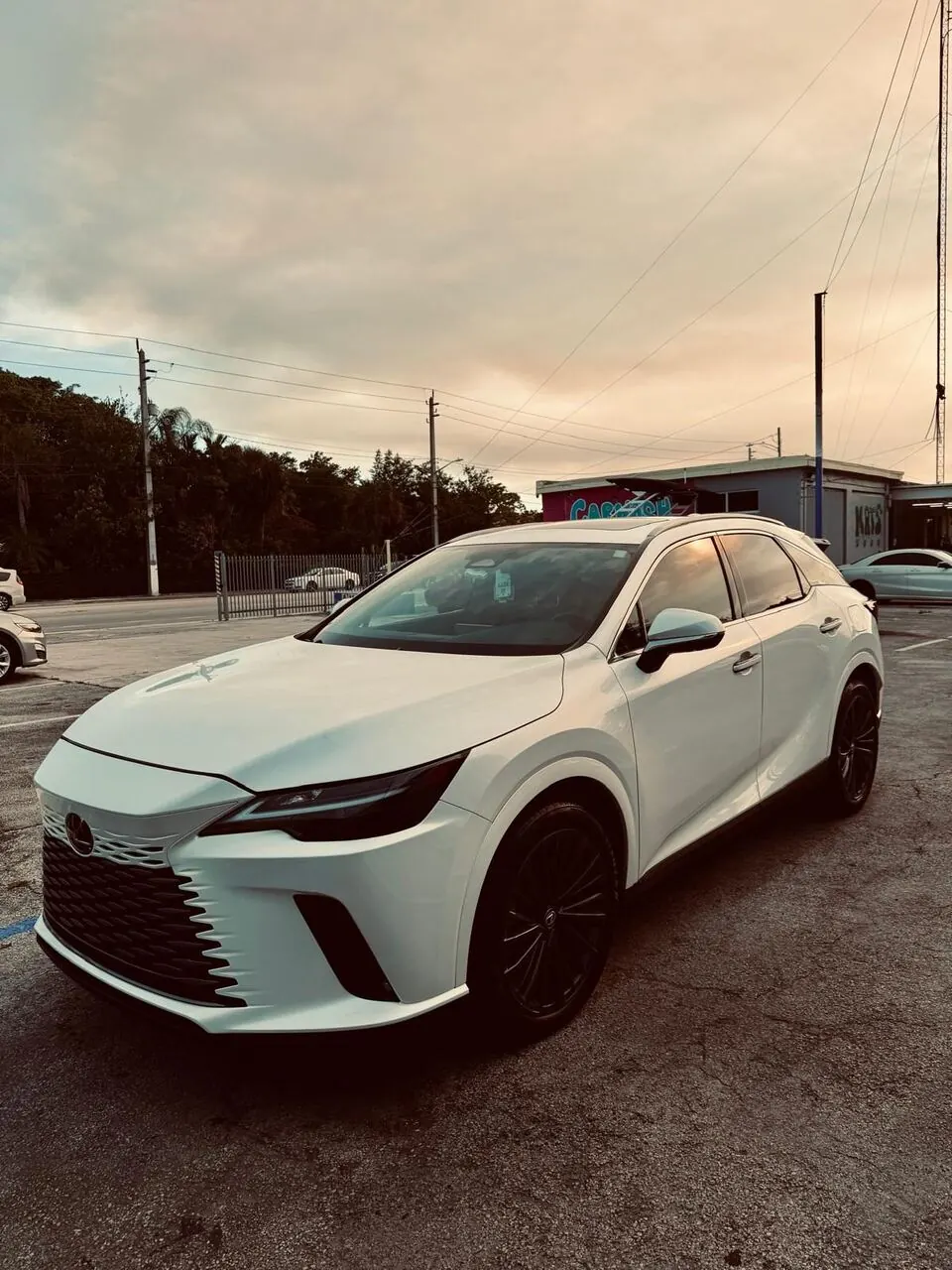 White hatchback after a full detail